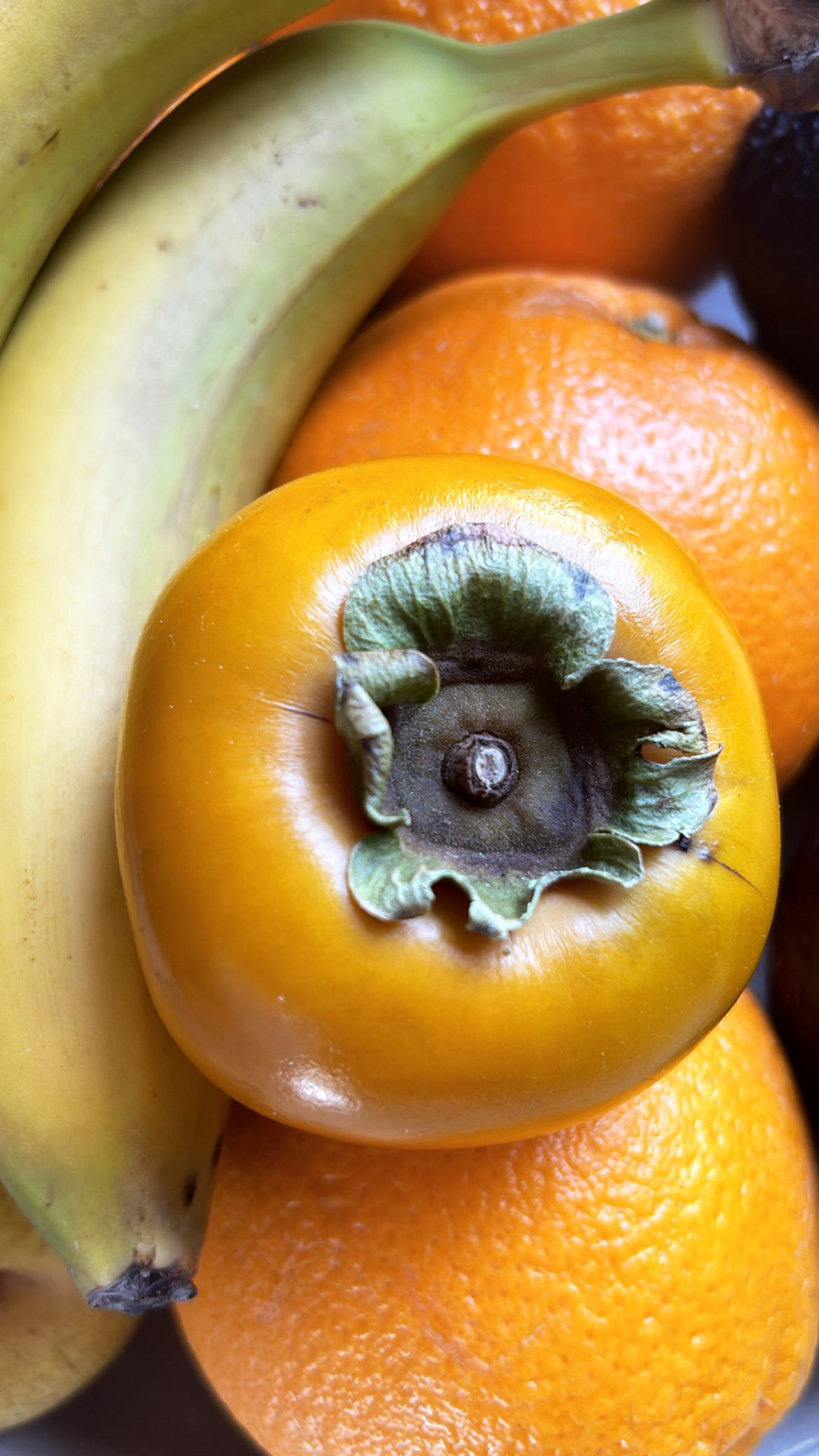 Amber fruit
