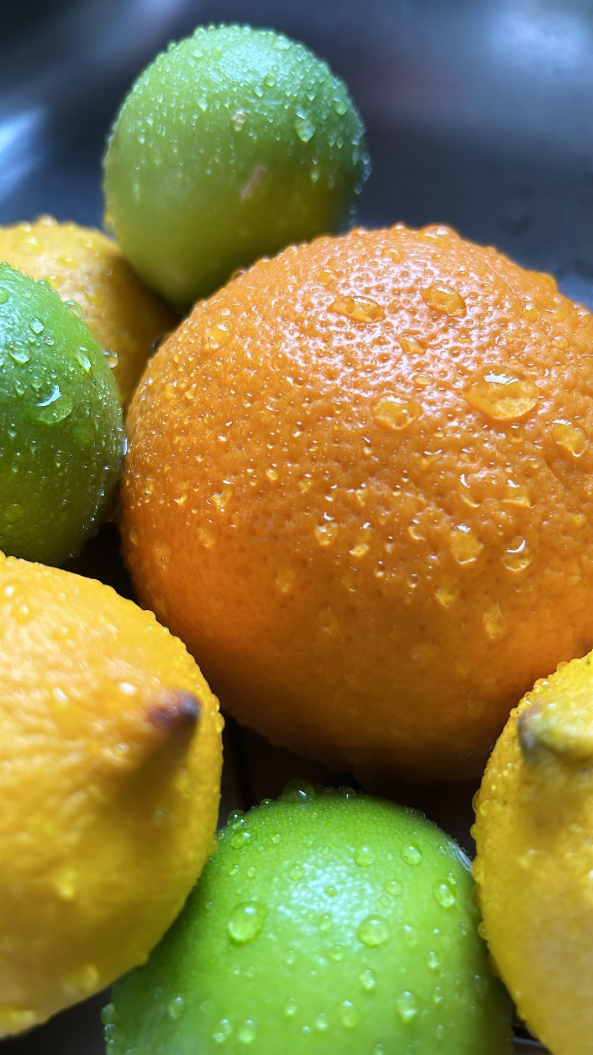 Citrus Crush