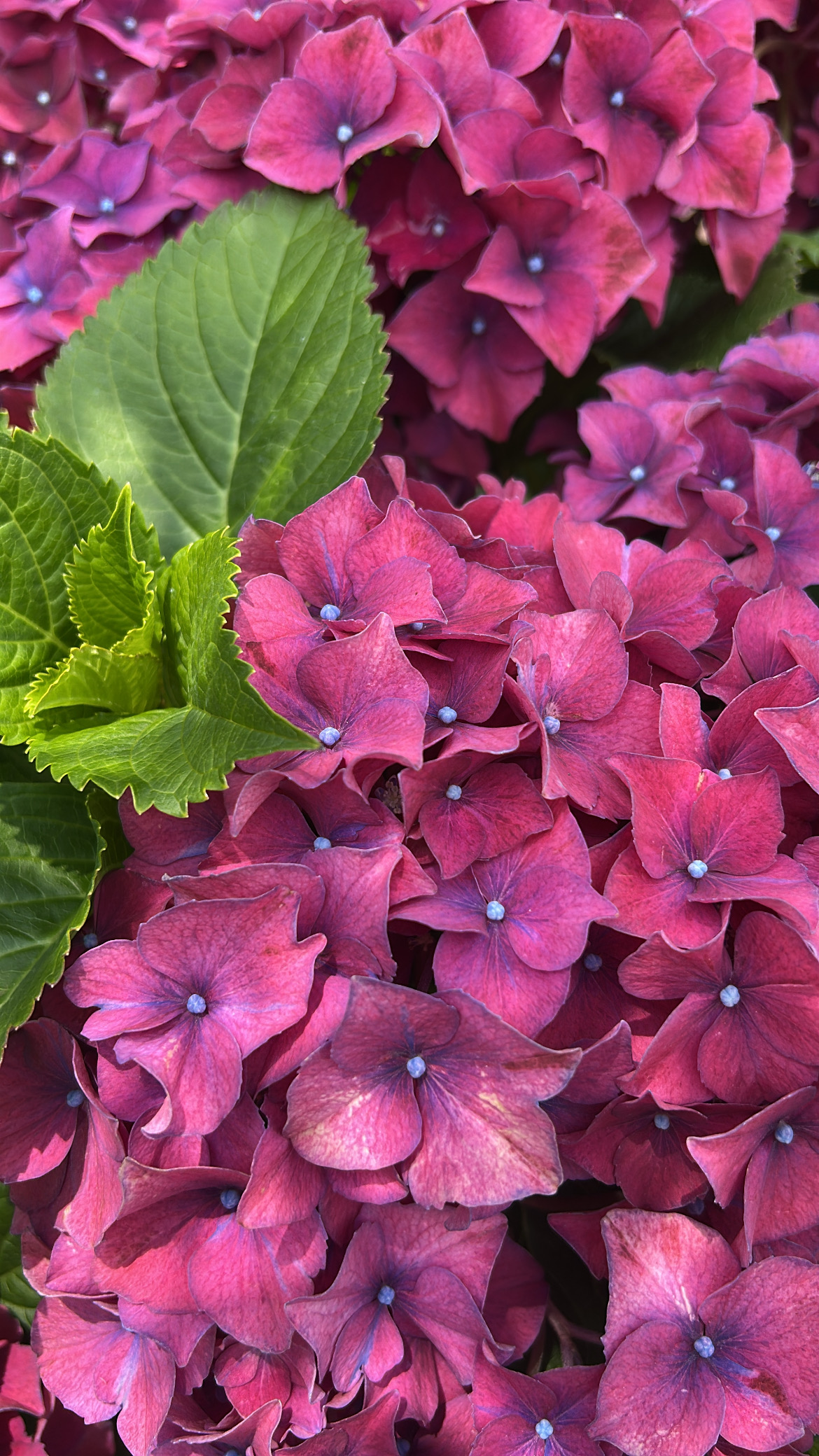 Colorful moments