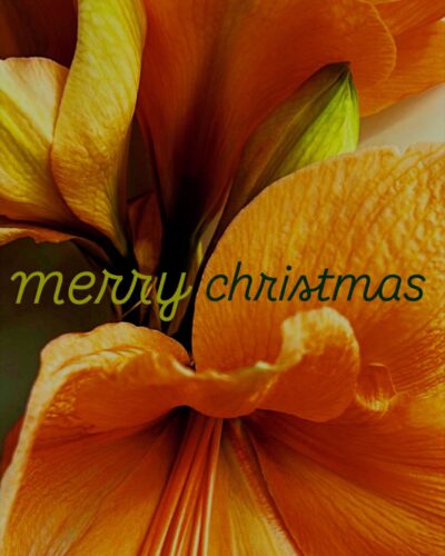 Golden Bloom Vintage