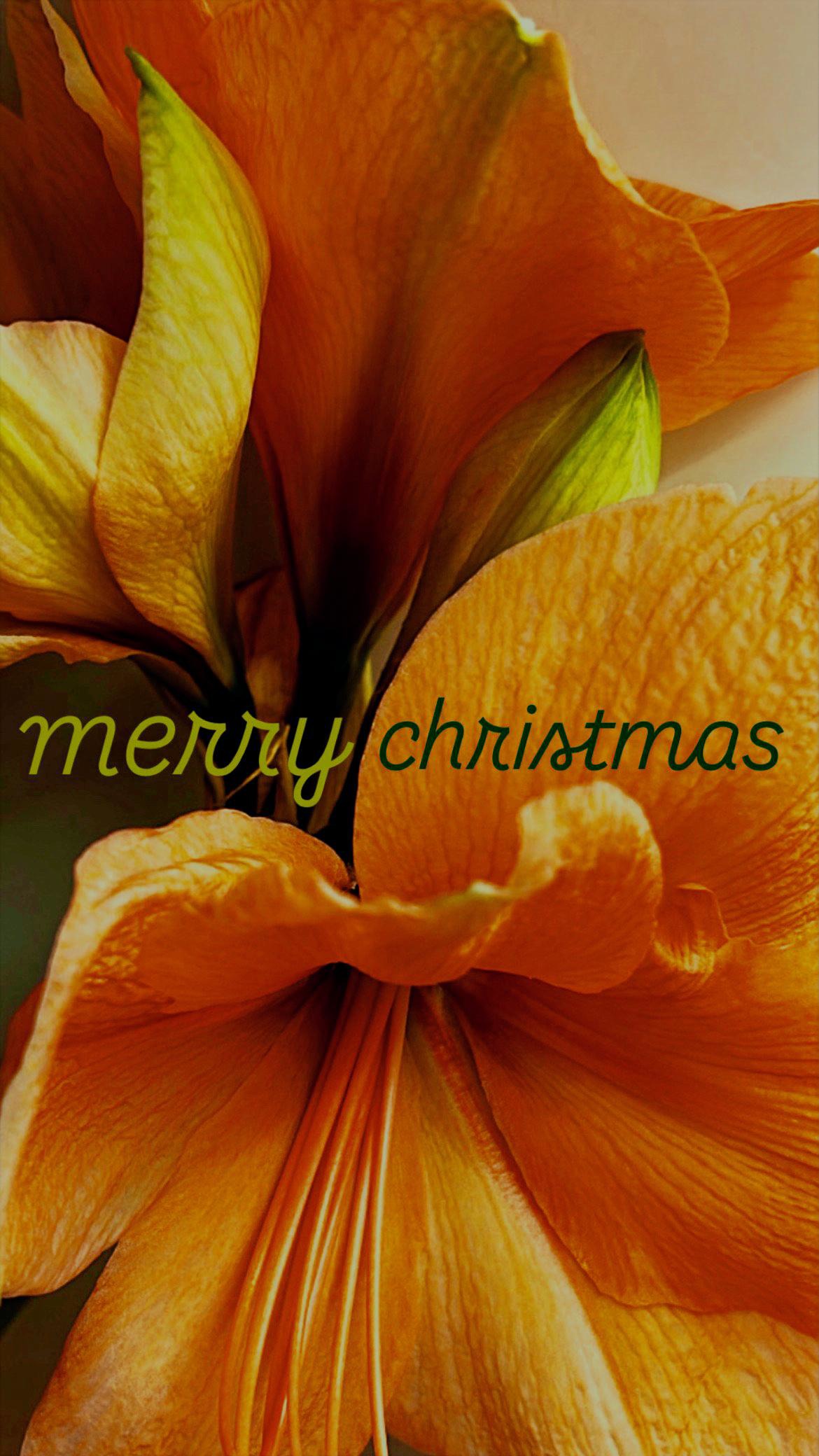 Golden Bloom Vintage