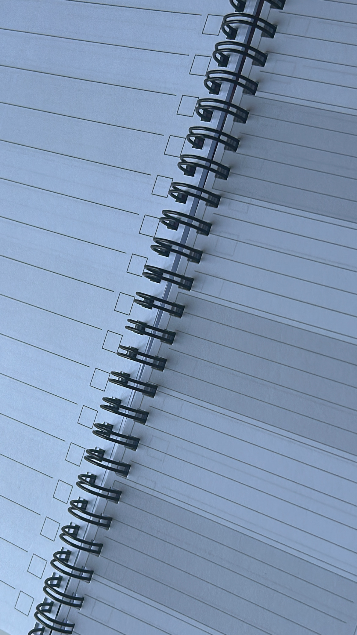 Floraler Begleiter für den Alltag – Bild 3