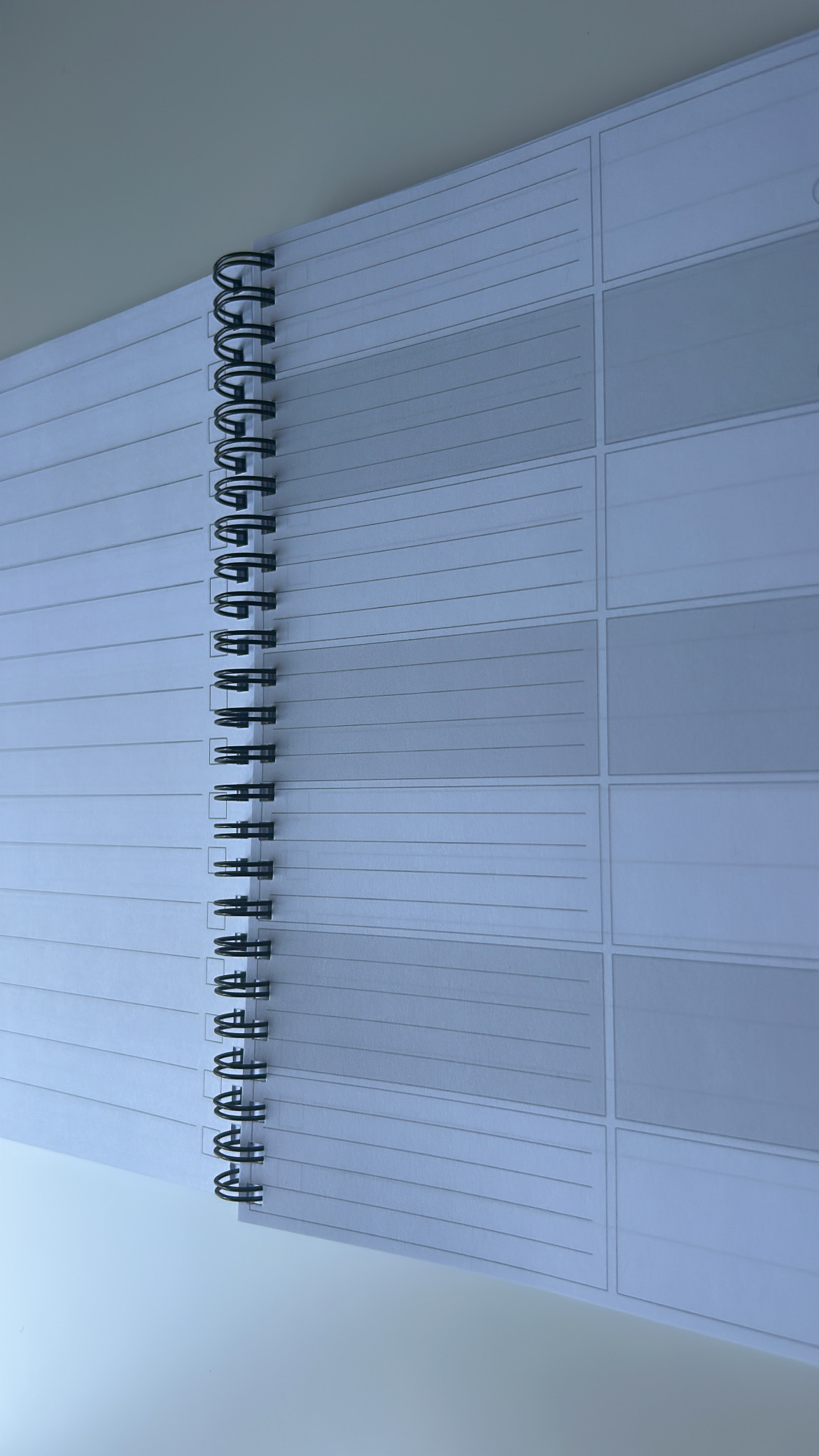 Floraler Begleiter für den Alltag – Bild 5