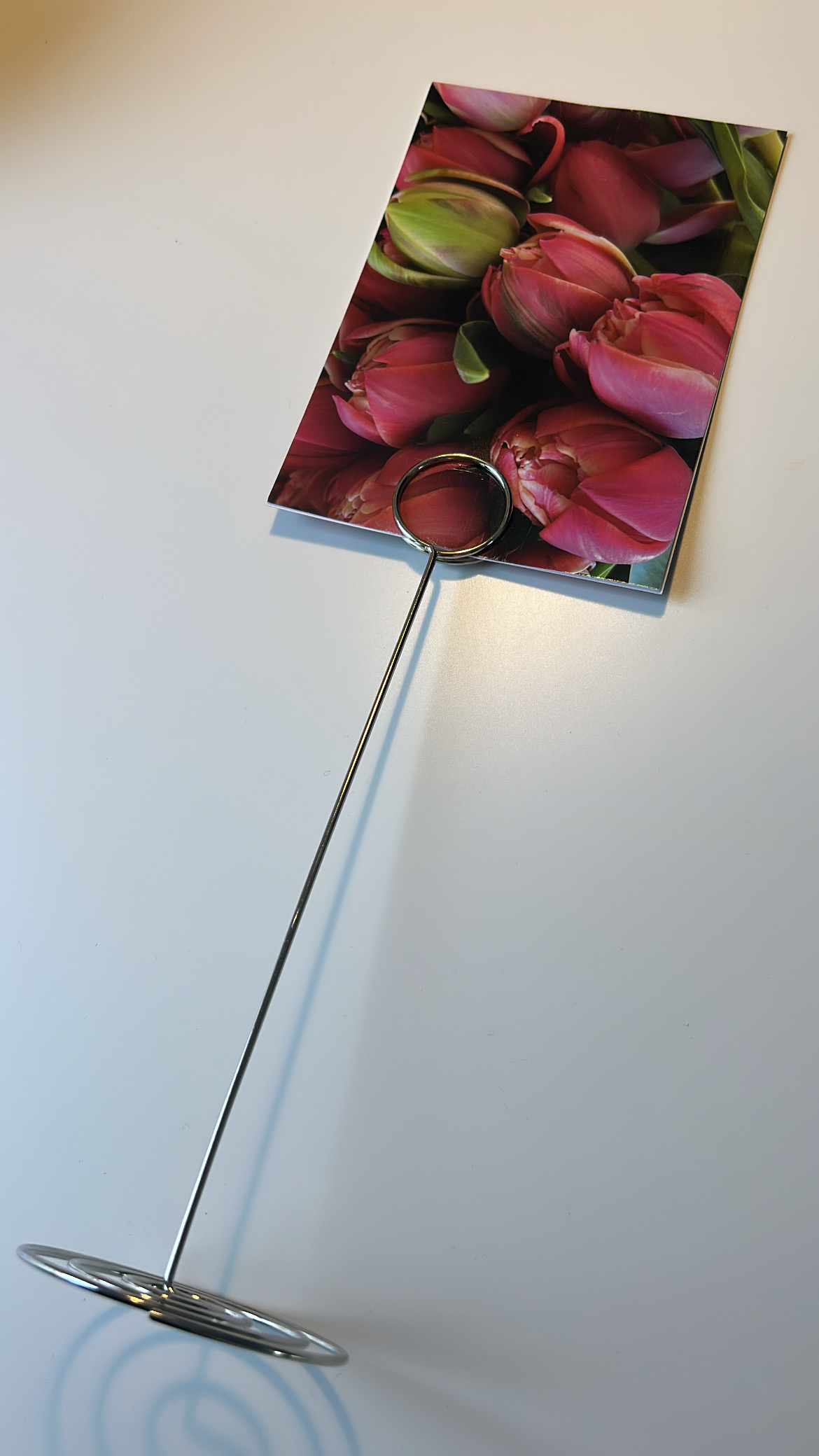 Blütenblick – Bild 2