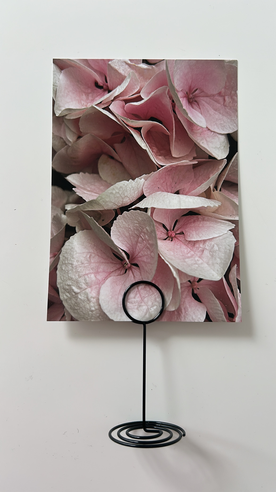 Blütenblick – Bild 2