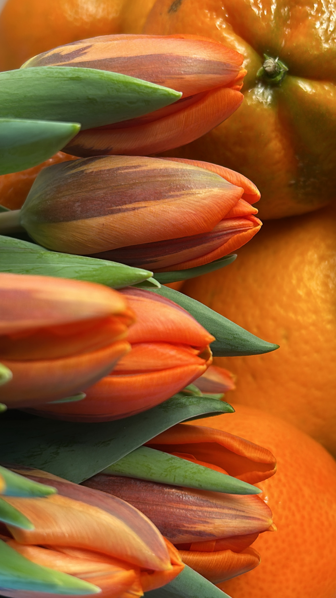 Orange Glow
